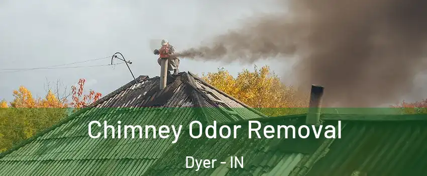  Chimney Odor Removal Dyer - IN