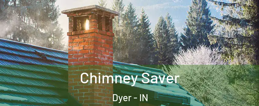  Chimney Saver Dyer - IN
