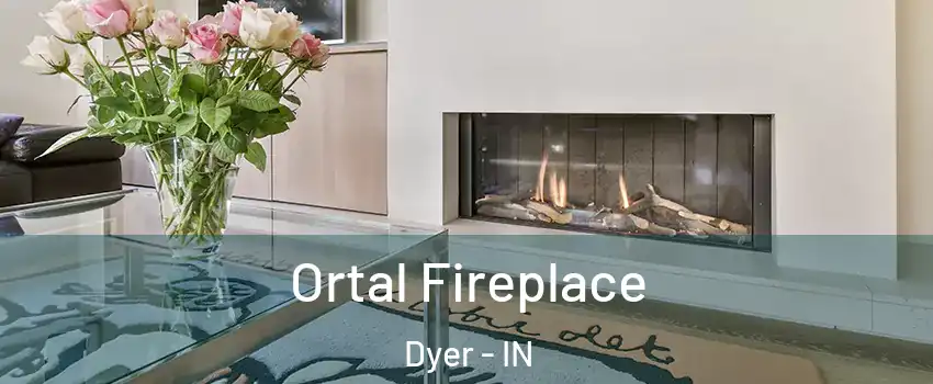 Ortal Fireplace Dyer - IN